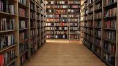 Знают ли библиотеки своего читателя?