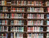 Общероссийский день библиотек отметят в Пскове